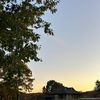 aepheis