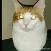 123456baodz0