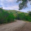 randomgardenvids8