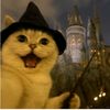 sherly_rowrrrrwrr
