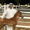 🌲جابر بن دربي 🌲