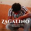 zagalinoproug4