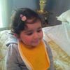 dalidamahmoud001