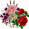 amr.mehrz