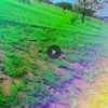 user5319255157354