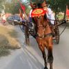 king.lalsher