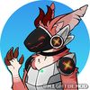 nidus545