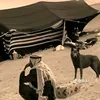 rehanh54