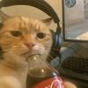 s22_a25_hype