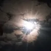 no_21no1