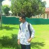 dedex746