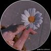 shimran027