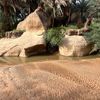 abderrahman8730