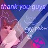 meme.cat529