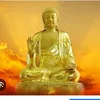 ngan.nguyen3943