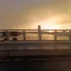 truongbrandy1