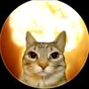 moon_cat_thai