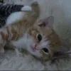 noilaran_1129