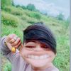h.vn7431