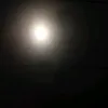 radamrwfllj