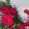 coolesocke742