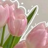 _laaxslly09