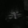 _alikhan_876