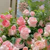 p_mng12