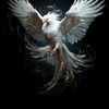 user2619652686192