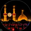 user7461871067841