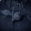 slvt_for_slytherins