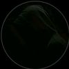 syed.imran744