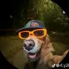 hnhuy_211
