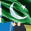 wahid.wazir212