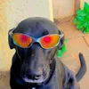 Arthur Ribeiro