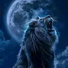 ramzi.hassan8
