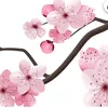 pucca5821