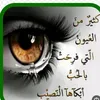 .safa667