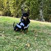 choko_20_11_2023