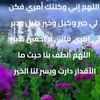 user4255292308427