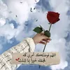 basam28066