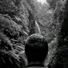 lukas_elcanario