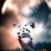 karim_hafid