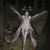 meiomateidk