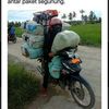 Daeng Dalyan
