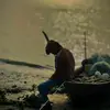 jobaeidraj333