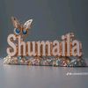 shumila9290