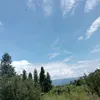 kojkuvhlub746