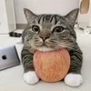 meoanthocc