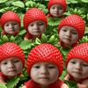 pimyada_012